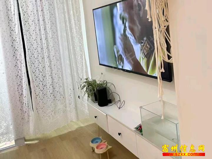 呈泰双子座精装家具家电齐全