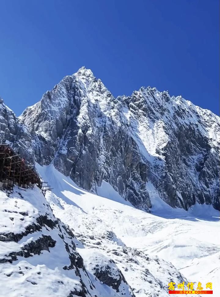 找一位阿姨每天中午做午饭 偶尔打扫家里卫生