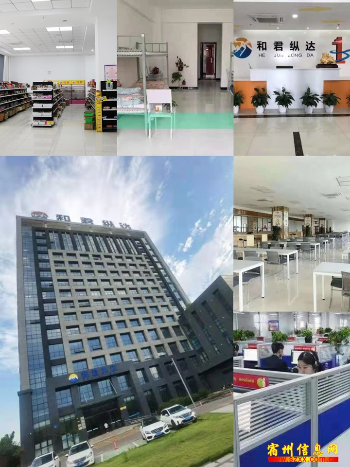 纯打字客服一个电话不接 - 宿州和君纵达