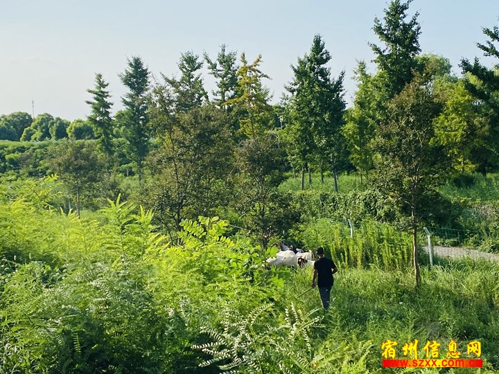 挖机驾驶员 - 宿州市仲发生物质科技有限