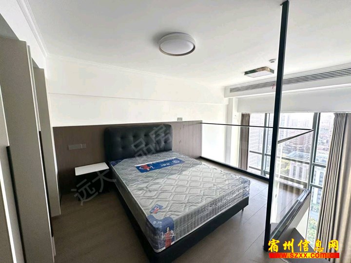 汇金广场高档loft公寓/拎包入住