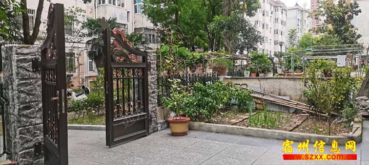 祁东新村步梯一楼带大院出售