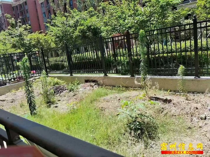 北京城房洋房一楼带院64万,三室两厅两卫,南北通透,价格可谈