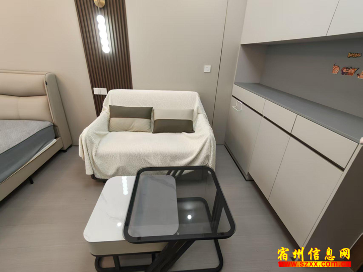 苏宁一室一厅1300家具家电齐全