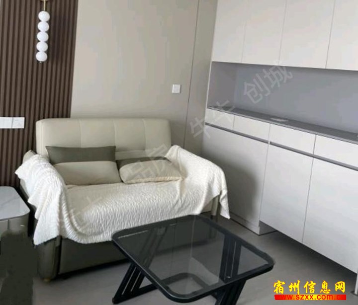 市中心苏宁公寓可押一付一,1300
