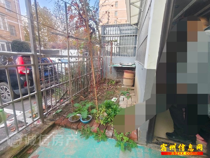 苏宁商圈 墅园小区 一楼带院34万